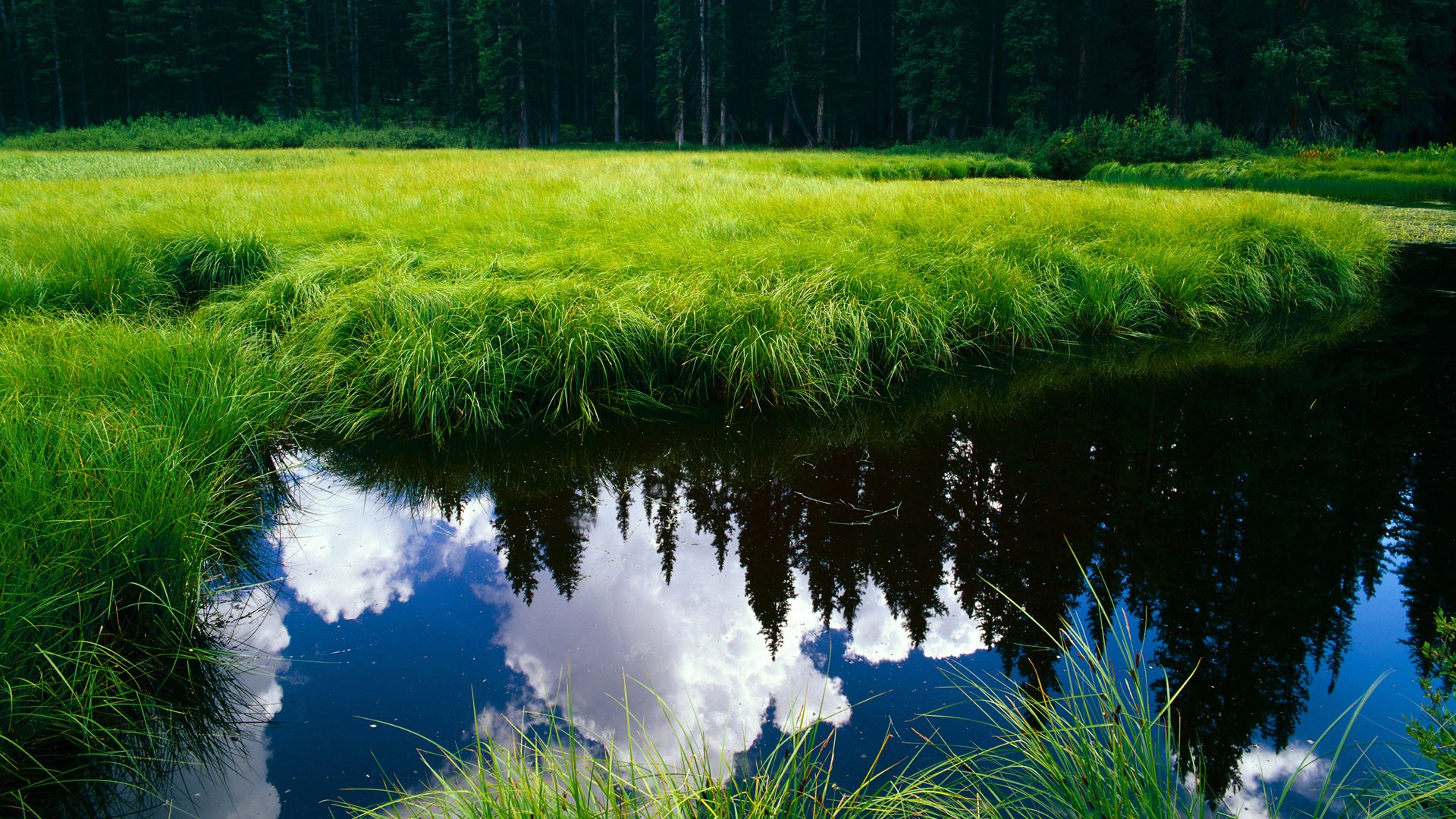 九游电竞站-【经典瞬间】马克·塞尔比的极限防守回放，马克塞尔比冠军一览