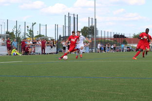 九游游戏中心-未来足球运动场将实现环保材料全覆盖，绿色发展理念深入人心，室外足球场的运营方案